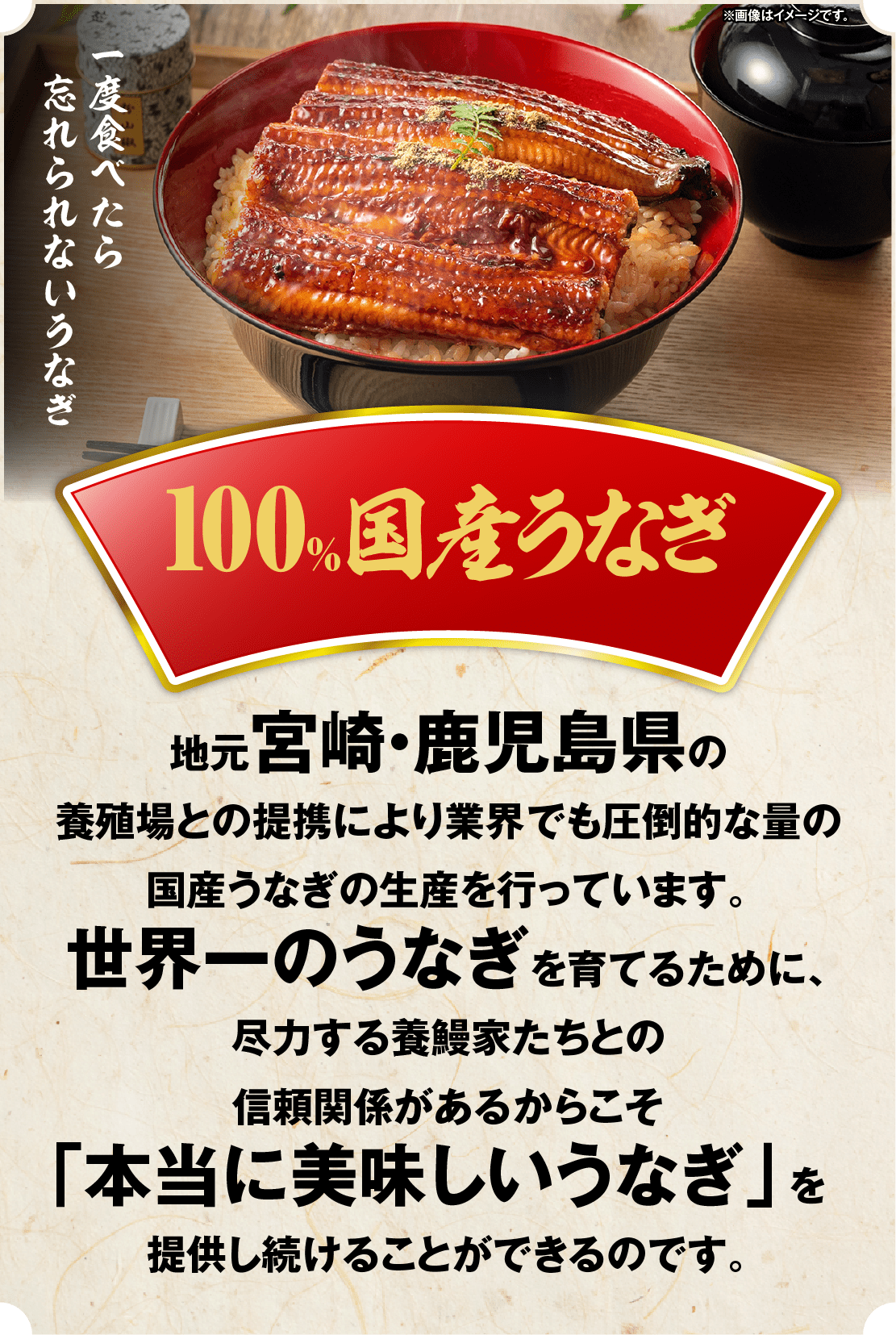 100%国産うなぎ