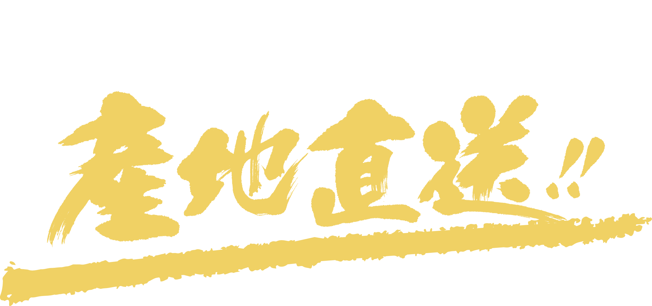 養鰻の本場宮崎より産地直送！！