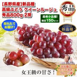 ★送料無料★ [長野県産]新品種 高級ぶどう クイーンルージュ 秀品800g 2房