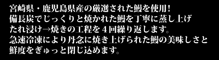 トーカ堂インターネットテレビショッピング 鰻楽 うなぎ蒲焼セット